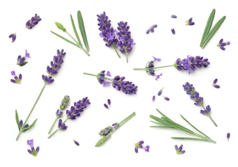 Foto op Plexiglas Lavendel Bloemen Geïsoleerd Op Een Witte Achtergrond © Jacek Fulawka