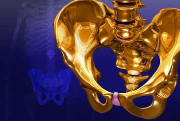 Golden Pelvis Against Blue Background 3D illustration
