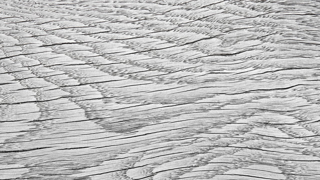 Holzmaserung schwarz wei&szlig;