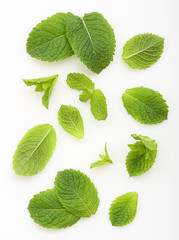 Green mint leaves isolated