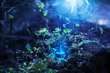magic potion on bottle in forest