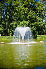 Fototapeta premium fountain on the lake on a background of green park under a blue sky