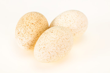 Three big raw turkey egg