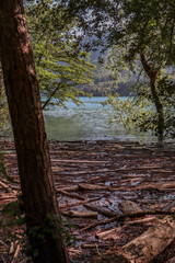 Obraz premium various