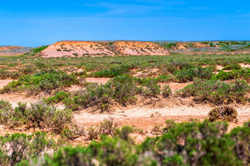 Fototapeta na wymiar Dry cracked takir soil in semi-desert in Russia. Nature landscape
