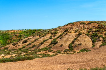 Dry cracked takir soil in semi-desert in Russia. Nature landscape