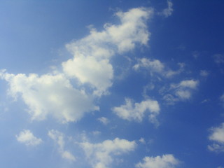Federwolken