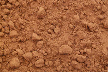 Cocoa powder background