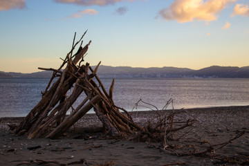 Driftwood tent on a beach in Petone