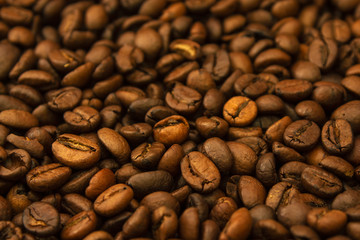 coffee beans in bulk close-up