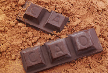Chocolate bars with word CACAO  and cacao powder