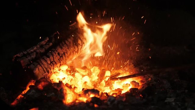 Magic hearth fire with a tongue looking like a spirit of an animal in a smithy 