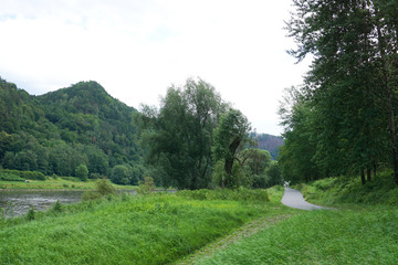 Fototapeta na wymiar Der Elberadweg in der Sächsichen Schweiz nahe Schmilka