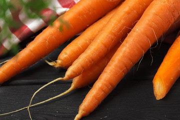 Fresh carrot bunch on dark black background top view