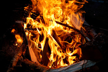 Brennendes Holz in einem Lagerfeuer