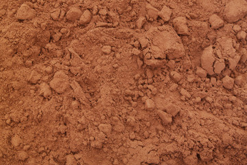 Cacao powder background