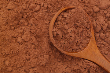 Wooden spoon on cacao powder background