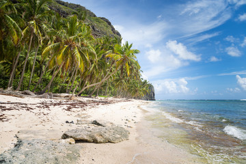 Wild Tropical beach on the island. Aerial view.  Beautiful beach on the sea.  Turquoise ocean water.