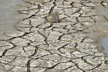 Trockenheit, Dürre,