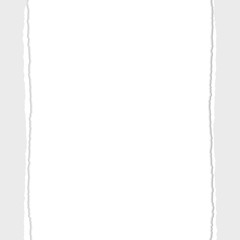 Gray Vector Ripped or Torn Paper Divider Background