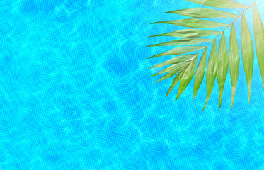 Fototapeta na wymiar Swimming pool background texture with palm fragment, top view. Copy space.