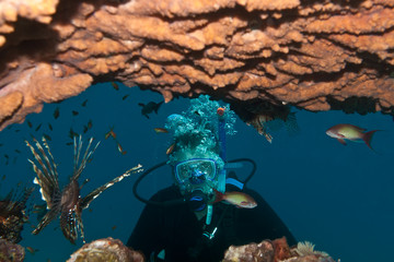A diver and tropical fishes are underwater