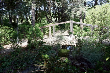 wooden bridge over a small lake
