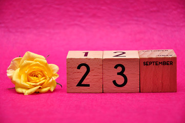 23 September on wooden blocks with a yellow rose on a pink background