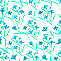 Pattern watercolor blue cornflower border on white