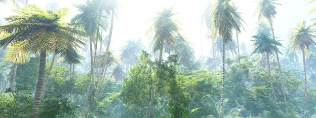 Obraz premium Jungle morning in the fog, palm trees in the haze, jungle panorama