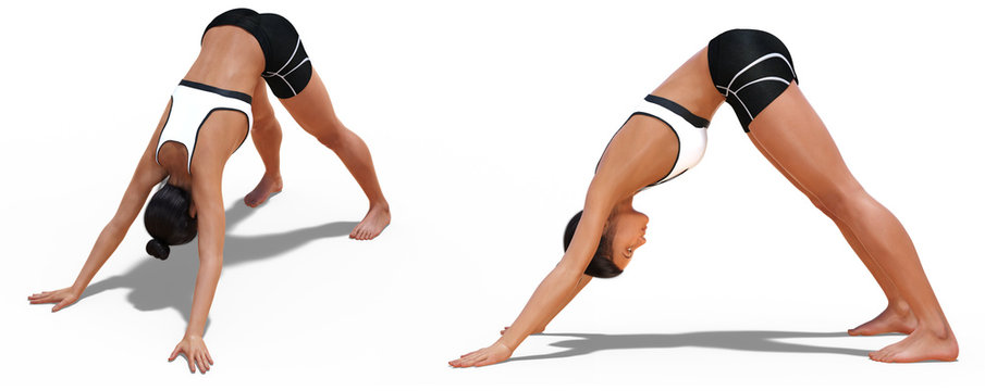 Left Profile and Front Three-quarters Poses of a Woman in Yoga Downward Facing Dog