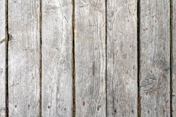 Background, old gray wooden boards, front view