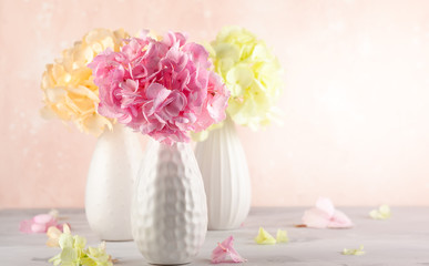 Obraz na płótnie Canvas Bouquets of beautiful hydrangea in vases