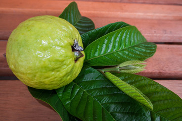 Guava Fruit and leaves with wood background