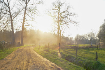 Sandy dirt road between agraric fields in a sunset flare during wintertime