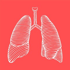 hand drawn human lung illustration reverse