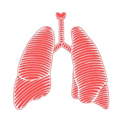 hand drawn human lung illustration reverse with outline