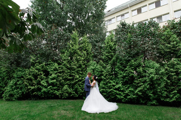 beautiful wedding couple at a walk in the park.Wedding in the summer in the park.. gentle hugs brides outdoors .bride and groom kissing in the green garden.wedding day. Wedding Conctpt