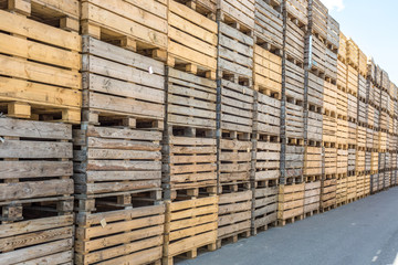 rows of wooden crates boxes and pallets for fruits and vegetables in storage stock. production warehouse. Plant Industry