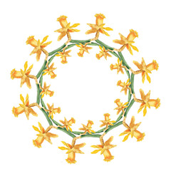 Obraz premium Narcissus flower wreath