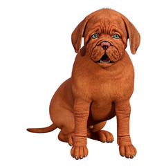 3D Rendering Puppy on White