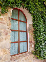 Glass window surrounded by green vines on a decorative stone wall