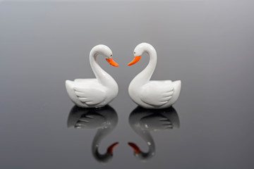 Romantic two swans,  symbol of love