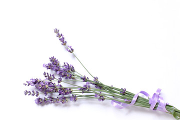 Lavender flowers tied with a purple ribbon on a light surface. bouquet for gentle congratulations