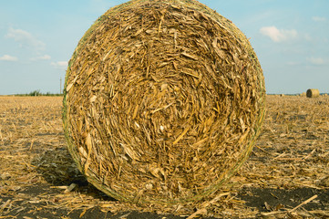 Large bale of hay, rural landscape after harvest, background for text on an agricultural theme