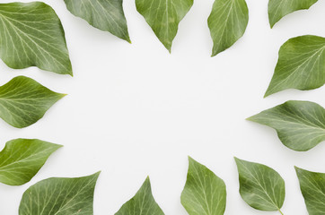 Decorative frame of flowers