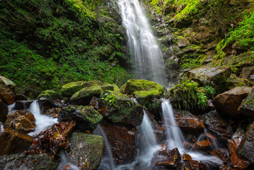 Waterfall of Belaustegi beech forest, Gorbea Natural Park, Vizcaya, Spain