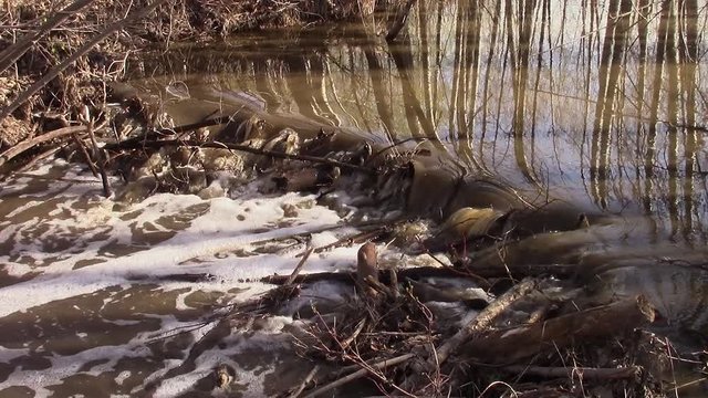 Spring run-off over topping a beaver dam - slomo