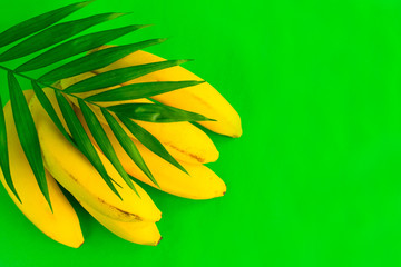 Fototapeta na wymiar A bunch of bananas and a palm leaf on a bright green background.Copy space