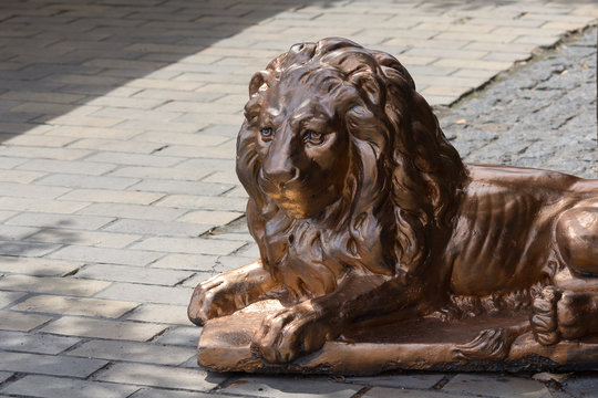 Statue of a lion on a city street. Kiev, Ukraine